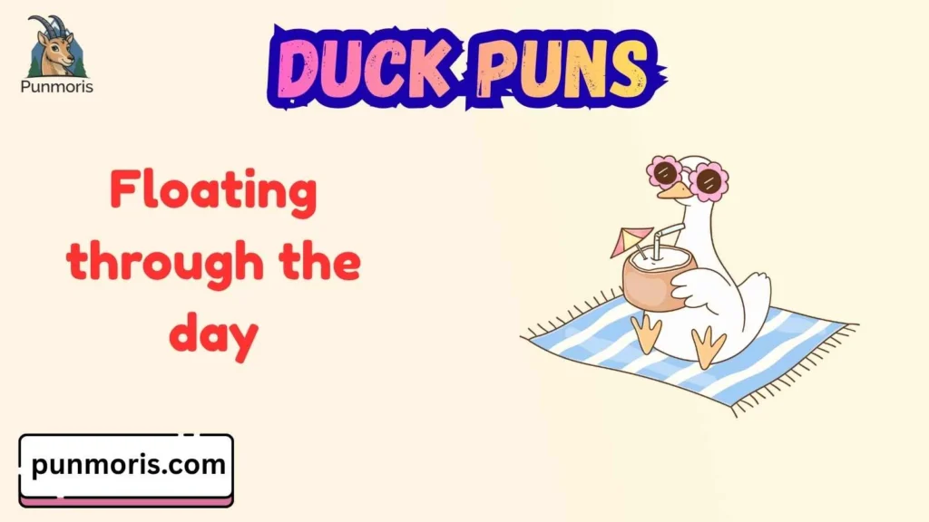 Duck Puns for Instagram