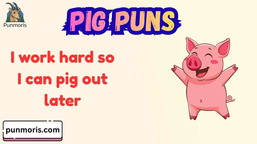 Funny Pig Puns
