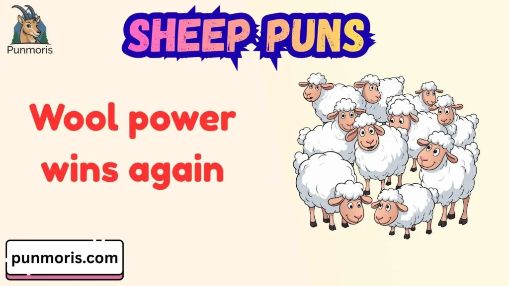 Funny Sheep Puns