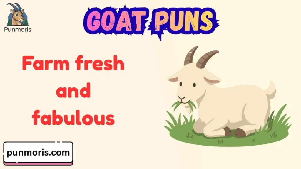 Goat Puns for Instagram Captions